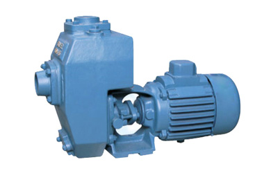 chemical processing Pumps India
